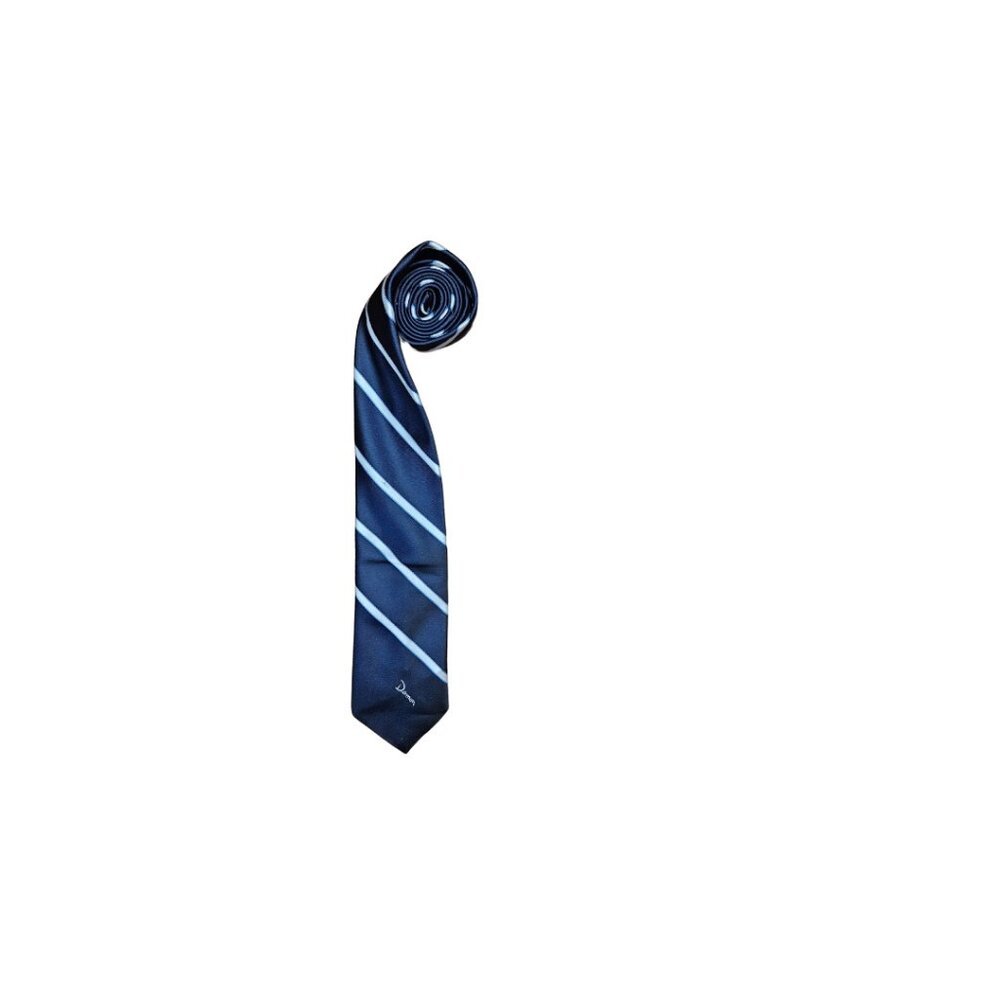 Damon Blue and White Striped Slim Tie